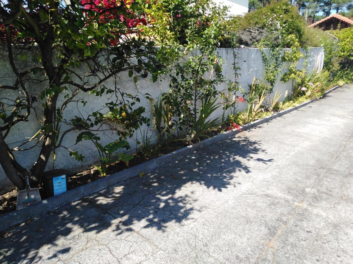 Cabedelo Seaside Guesthouse Viana do Castelo Exterior photo